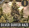 Blimburn Seeds - Silver Surfer Haze - feminised