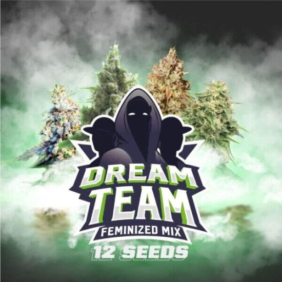 BSF Seeds - Dream Team Feminized Mix - feminised Click image to close