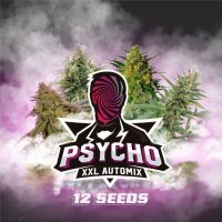 BSF Seeds - Auto Mix Psycho XXL - feminisiert
