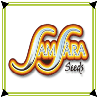 SamSara Seeds