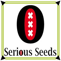 Serious Seeds