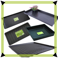 TRAY'S, EIMER & WANNEN