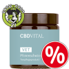 VET CBD VITAL Pfotenschutz 70g -MHD ÜBERSCHRITTEN-