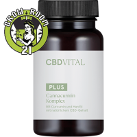 CBD VITAL - Cannacurmin Komplex 60 Kapseln