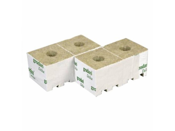 Ein allgemeines Bild