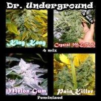 Dr. Underground - Surprise Killer Mix - feminisiert
