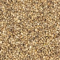 (image for) BULK Seeds