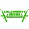 Kalashnikov Seeds