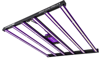 LUMATEK Zeus Compact Pro 600W LED