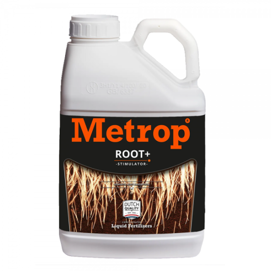 METROP Root+ Click image to close