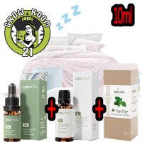 CBD VITAL - "Dream Team Schlaf 24% Single" - Set