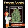 Expert Seeds Amnesia Haze - feminisiert