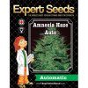 Expert Seeds Amnesia Haze Auto - feminisiert