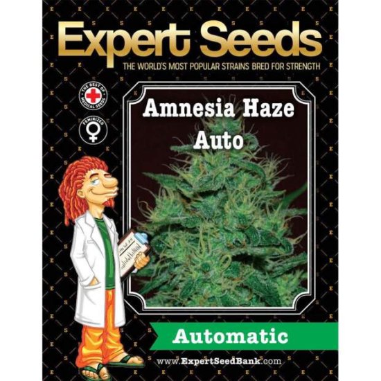 Expert Seeds Amnesia Haze Auto - feminisiert Bild zum Schließen anclicken