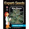 Expert Seeds Blue Cheese - feminised