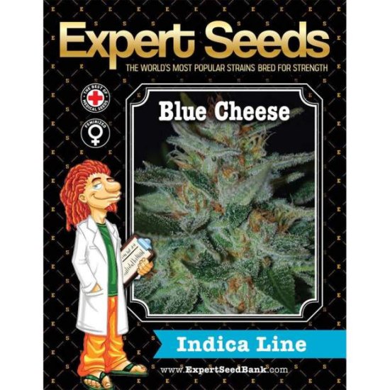 Expert Seeds Blue Cheese - feminised Click image to close