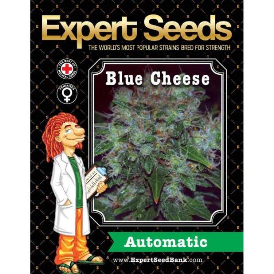 Expert Seeds Blue Cheese Auto - feminisiert Bild zum Schließen anclicken