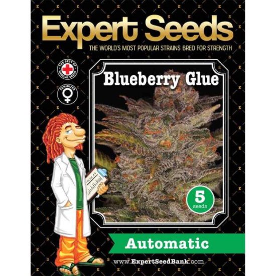 Expert Seeds Blueberry Glue Auto - feminised Click image to close