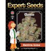 Expert Seeds Cheese - feminised