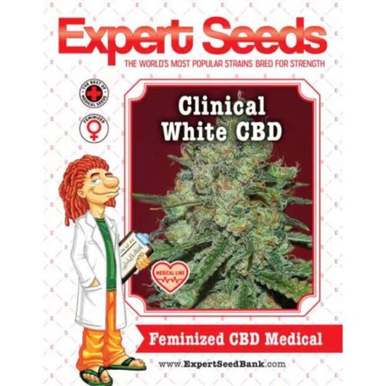 Expert Seeds Clinical White CBD - feminisiert Bild zum Schließen anclicken