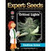 Expert Seeds Critical Lights - feminised