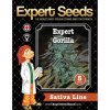 Expert Seeds Expert Gorilla - feminisiert