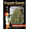 Expert Seeds Expert Haze - feminised