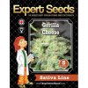 Expert Seeds Gorilla Cheese - feminised