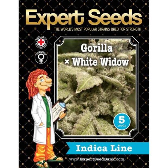 Expert Seeds Gorilla White Widow - feminisert Bild zum Schließen anclicken