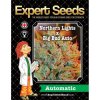 Expert Seeds NL X Big Bud Auto