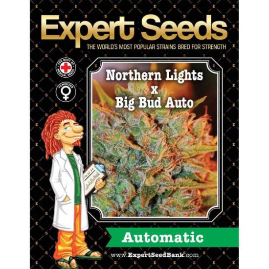 Expert Seeds NL X Big Bud Auto - feminised Click image to close