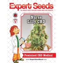 Expert Seeds Nurse Lilly CBD - feminised