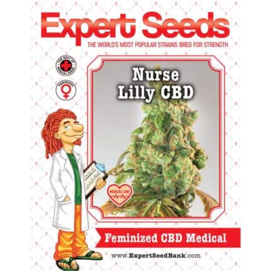 Expert Seeds Nurse Lilly CBD - feminisiert Bild zum Schließen anclicken