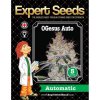 Expert Seeds OGesus Auto - feminised