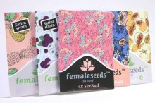 Female Seeds Indoor Mix