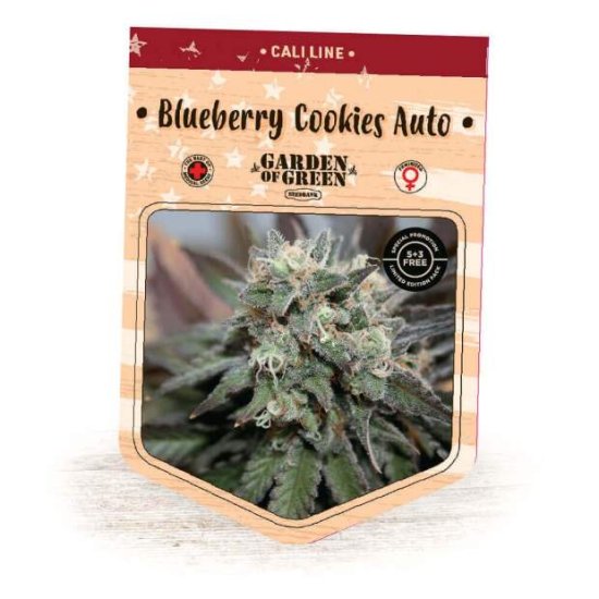 Garden Of Green Blueberry Cookies Auto Bild zum Schließen anclicken