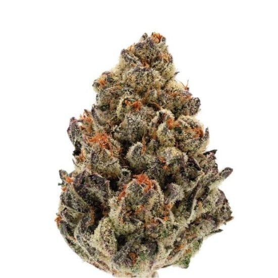 Growers Choice Bruce Banner Auto Click image to close