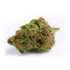 Growers Choice Double XL Red Banana Berry