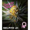 Growers Choice Gelato 41