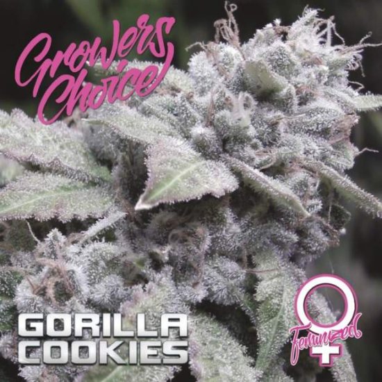 Growers Choice Gorilla Cookies Bild zum Schließen anclicken
