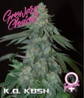 Growers Choice KO Kush