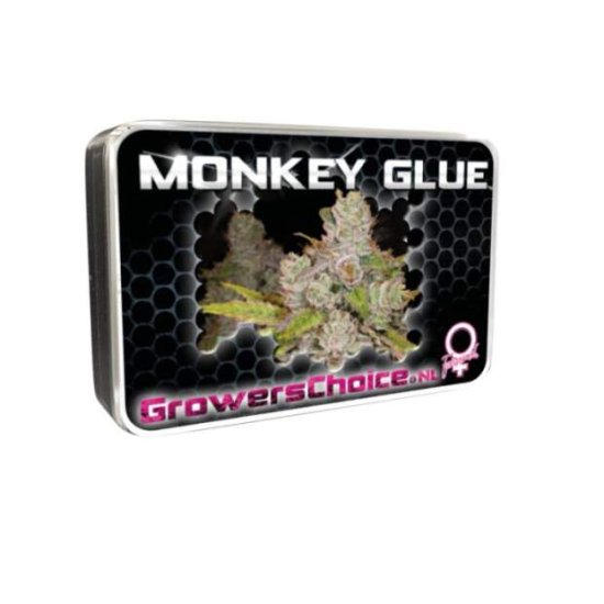 Growers Choice Monkey Glue Bild zum Schließen anclicken