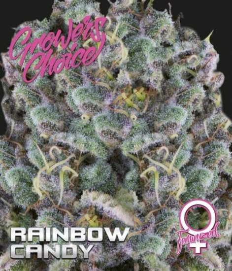 Growers Choice Rainbow Candy Bild zum Schließen anclicken