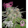 Growers Choice Sweet Tooth X NLX Auto