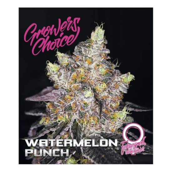 Growers Choice Watermelon Punch Auto Bild zum Schließen anclicken