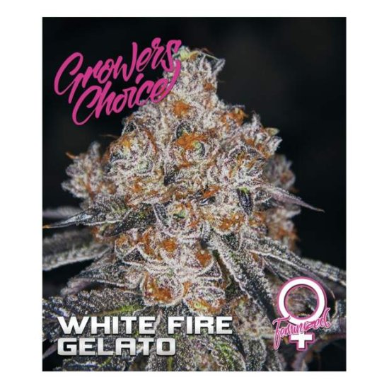 Growers Choice White Fire Gelato Click image to close