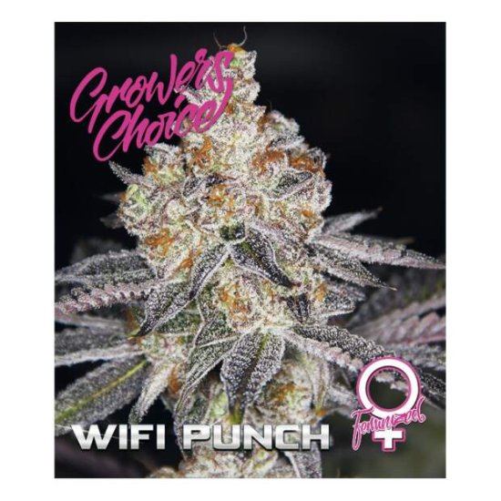 Growers Choice Wifi Punch Click image to close