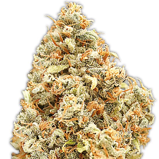 Heavyweight Seeds Monster Profit Click image to close