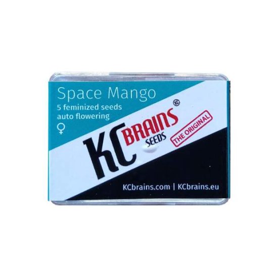 K.C. Brains Space Mango Auto Bild zum Schließen anclicken