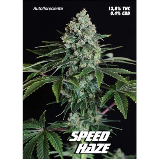 Pure Seeds Speed Haze Auto Bild zum Schließen anclicken